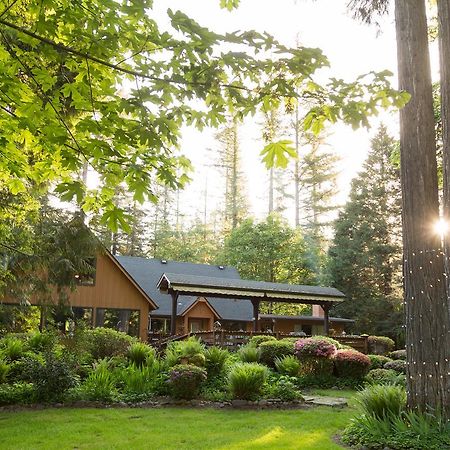 Eagle Rock Lodge Vida Zewnętrze zdjęcie