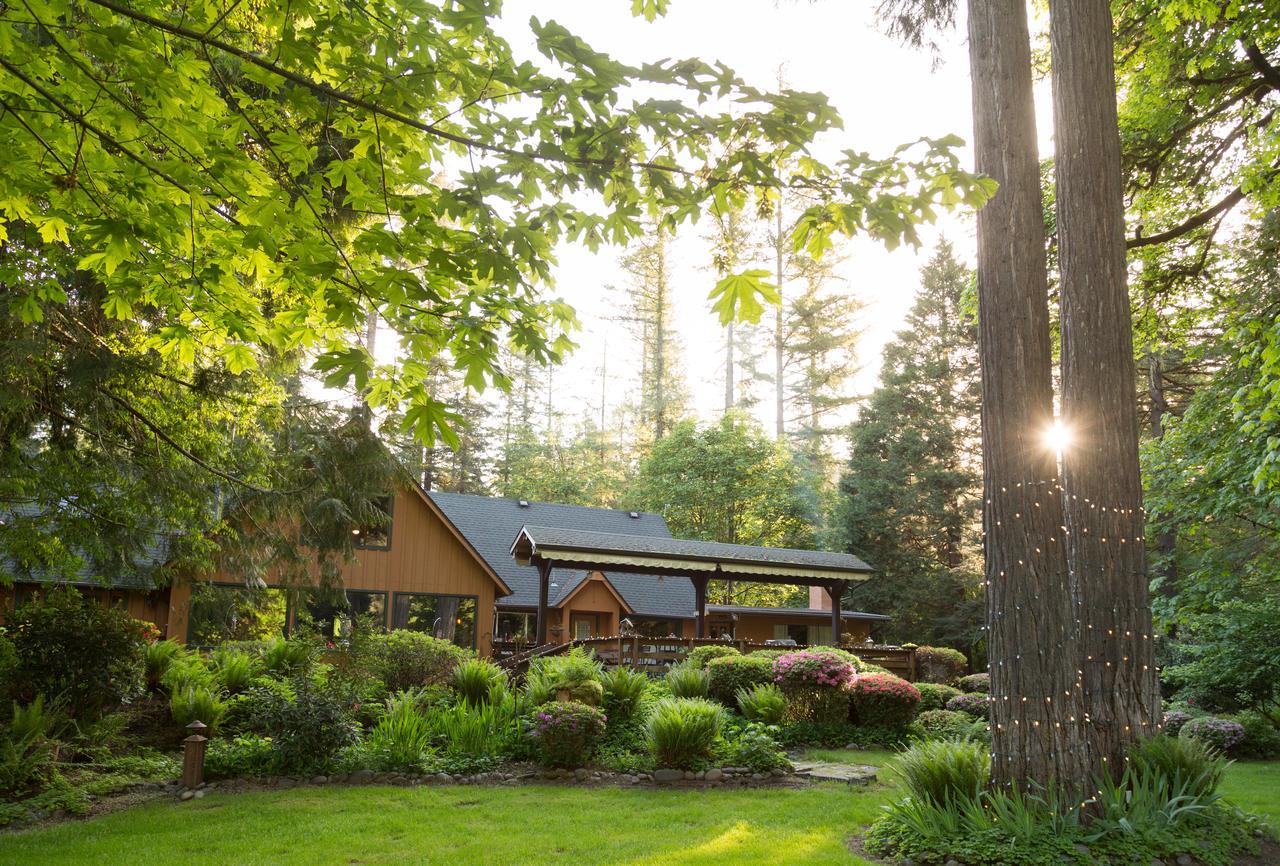 Eagle Rock Lodge Vida Zewnętrze zdjęcie